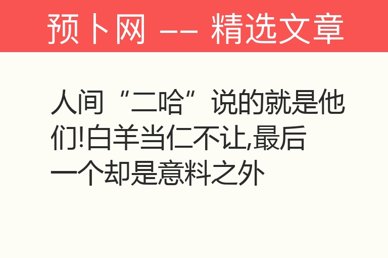 人间“二哈”说的就是他们!白羊当仁不让,最后一个却是意料之外